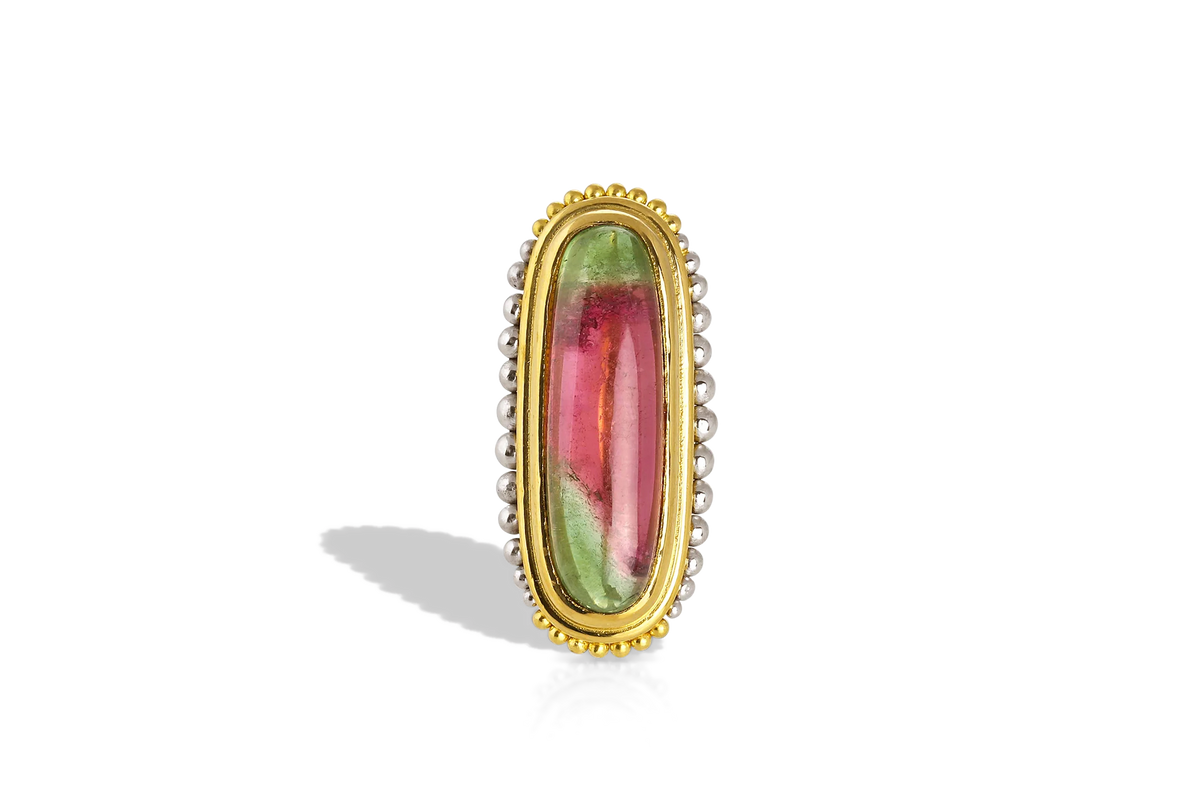 An absolute one-of-a-kind signet ring featuring our signature graduated granulation floating around a unique lozenge shaped watermelon colored tourmaline (3.96ct) set east-west for a modern twist. Look closely to see how the beautiful rich red spinel and tsavorite garnets (.33ct total) mimic the flow of the tourmaline's fresh, summertime colors. This stone is for a gem lover.

Made in recycled 22k yellow gold and platinum and a Brazilian tourmaline. Size 7.
